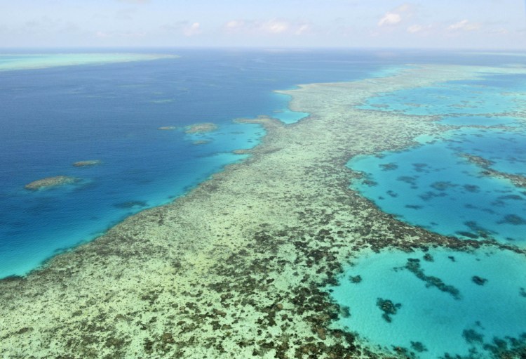 Australia's Great Barrier Reef in 2017. Reef managers confirmed Friday that aerial surveys detected catastrophic bleaching on 60 percent of the reef's corals.