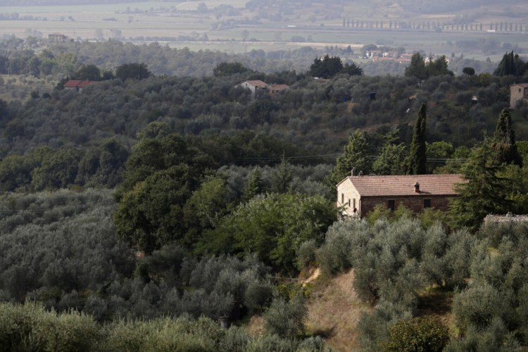 Residential villas stand between trees and olive groves in the hills surrounding Citta della Pieve in Italy in 2014. 