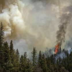 Wildfires New Mexico