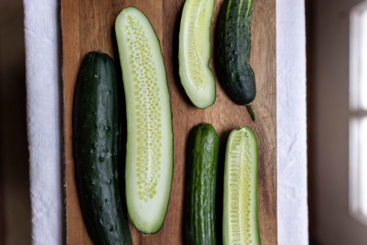 From left, a slicing cucumber, a hot-house cucumber, bottom right, and a pickling cucumber, top right.