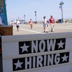 Summer Job Vacancies
