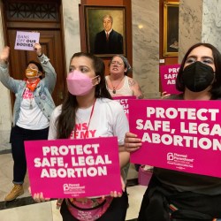 Abortion Kentucky Law