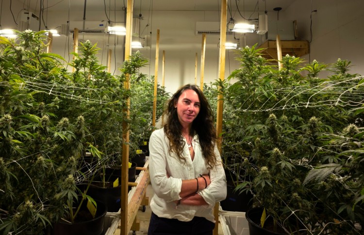 Arleigh Kraus in one of the grow rooms for her medical marijuana business at her farm in Warren in July. Kraus recently signed a contract through an energy broker to lock in her monthly electric rates at 12.5 cents per kilowatt-hour for 36 months.