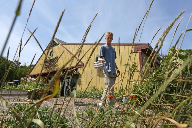 Aidan Connor, an employee at Jordan Farm in Cape Elizabeth, waters plants outside the farm market on Sunday July 31. Watering is essential, as much of coastal Maine has moved into severe drought status.