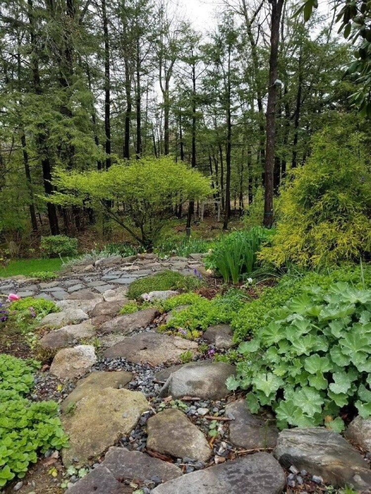 A pathway in Laura Boyett's garden in Augusta, which was designed by landscaper Jason Allerding.