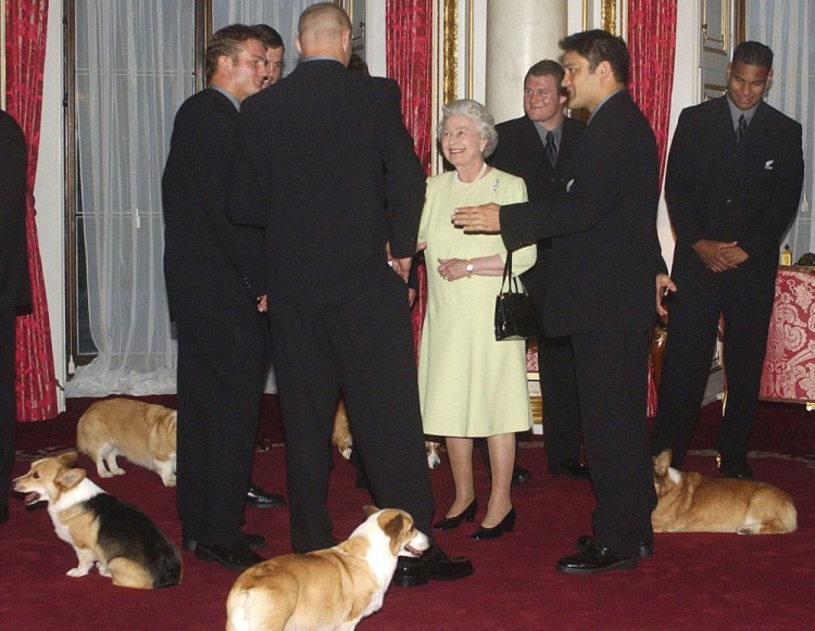 Britain's Queen Elizabeth II - and the royal corgis – meet the New Zealand All Blacks rugby team at Buckingham Palace in 2002.