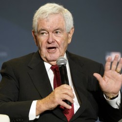 Capitol Riot Investigation Gingrich