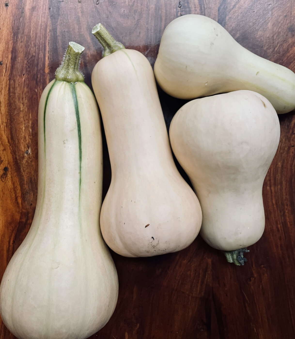How To Tell When Butternut Squash Is Ripe
