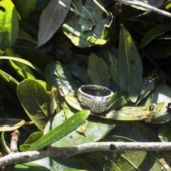 Hurricane Ian Wedding Ring