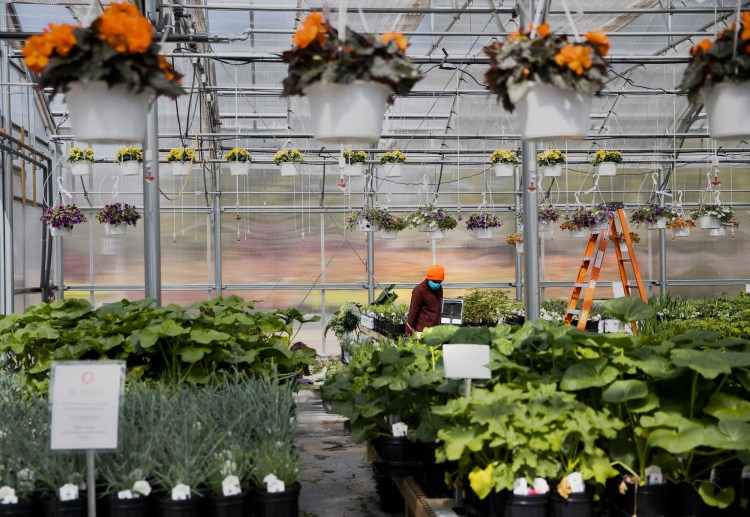 Plant nurseries (like just about every business) need more staff. The new Horticulture Apprentice Training Program aims to alleviate the shortage. 