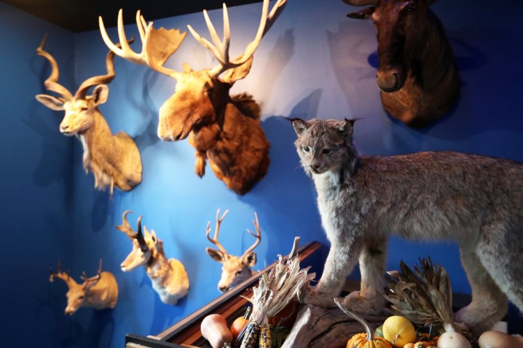 Standing head and shoulders above the crowd, hunting lodge decor is a thing at Sagamore Hill, and several other spots, in Portland. 