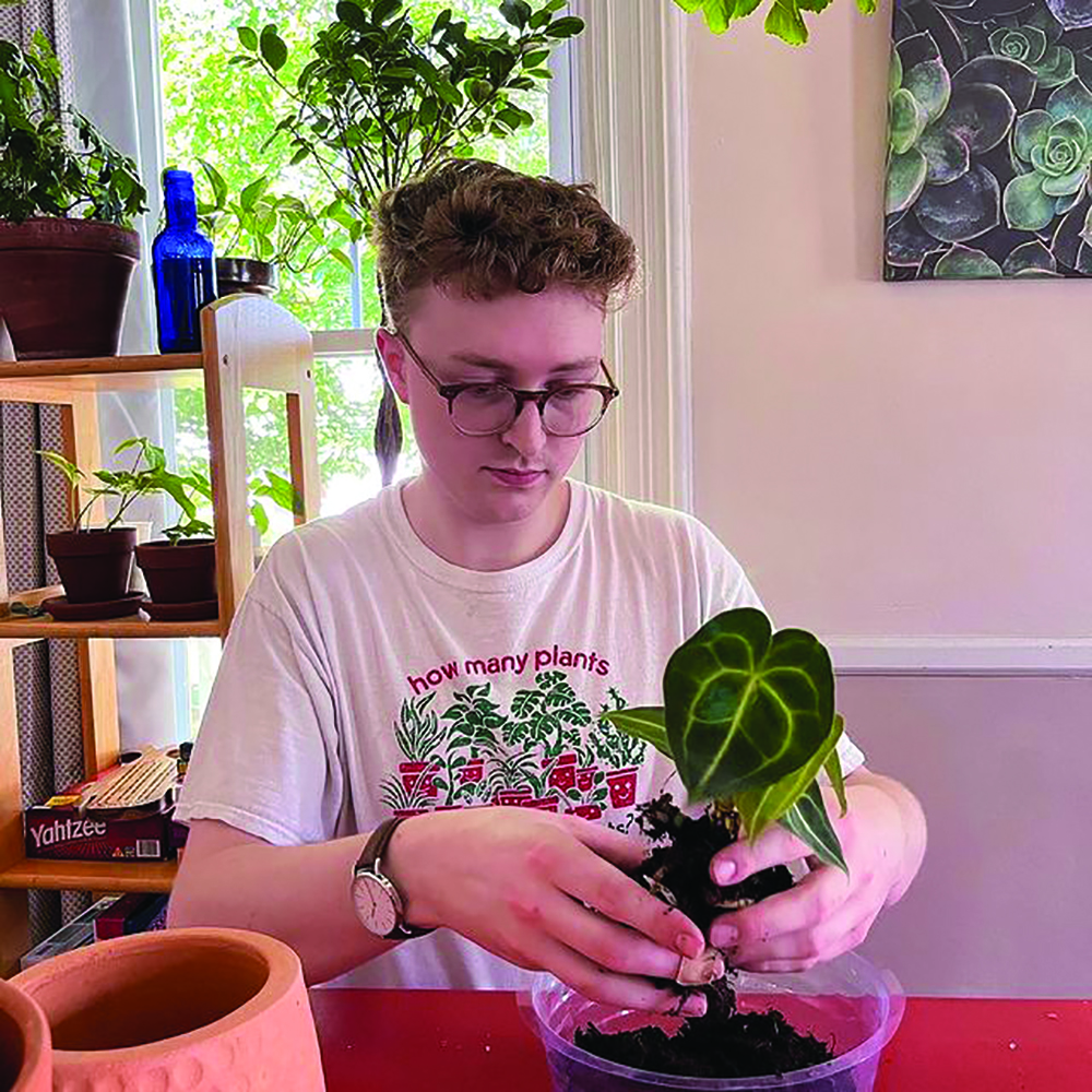 Ben Suszczynski of Ben's Houseplant Service is based in Gorham. He offers virtual and in-person
consultation.