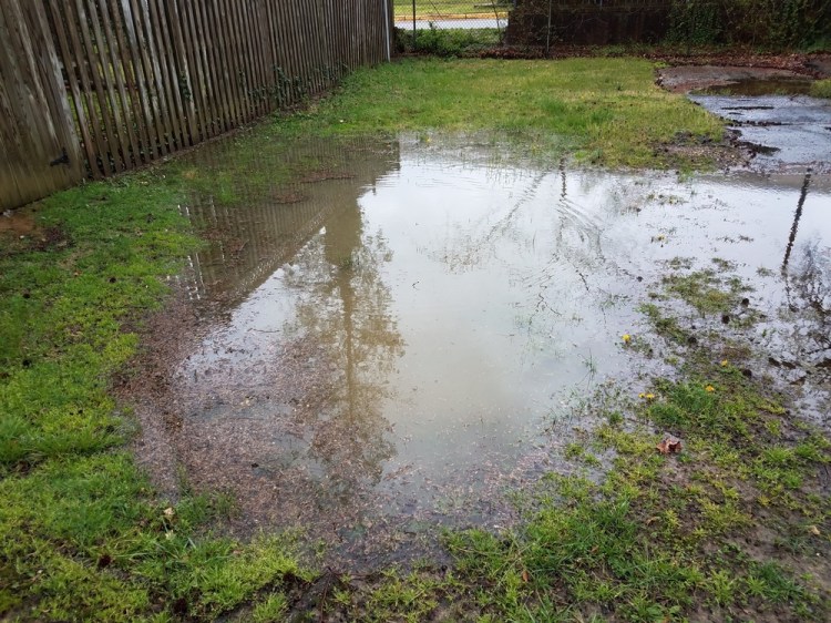 Standing water is not a good look for any lawn. On top of a better drainage system, a rain garden will help soak  up extra runoff.
