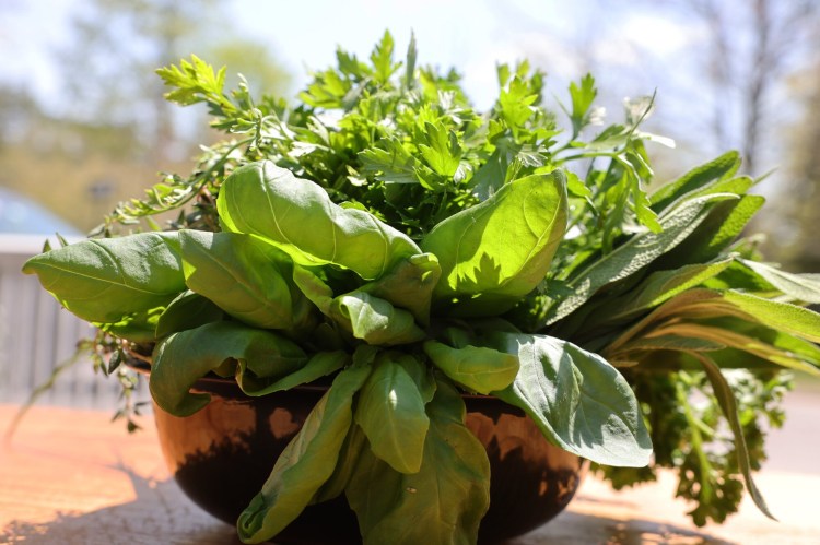 A bowl of fresh herbs, from Whatley Farm in Topsham and Six River Farms in Bowdoinham. 