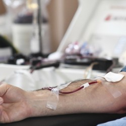 Blood Donations Gay Men