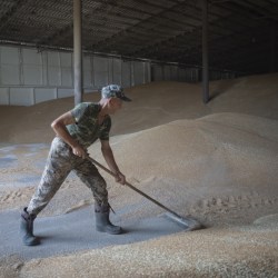 Russia Ukraine War Struggling Farmer
