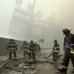 WTC Victims Identified