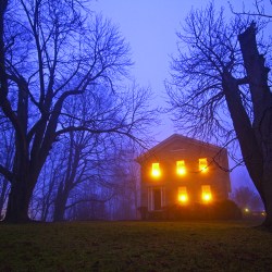 A single family home glows orange from the windows gainst the backdrop of a twilight sky and trees what have lost thir leaves.
