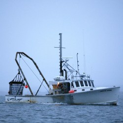 Overfishing Report