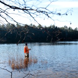  A Full Net: Fishing Stories from Maine and Beyond