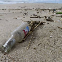 ODD New Jersey Beach Trash
