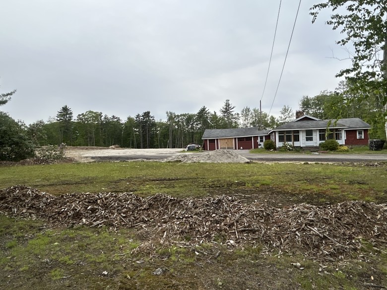 Business owner clear-cut land in Scarborough without approval